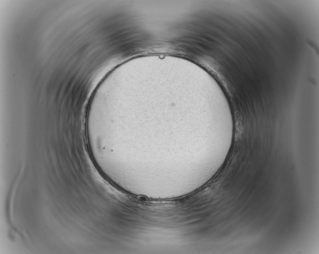 X0000102401483200808221836