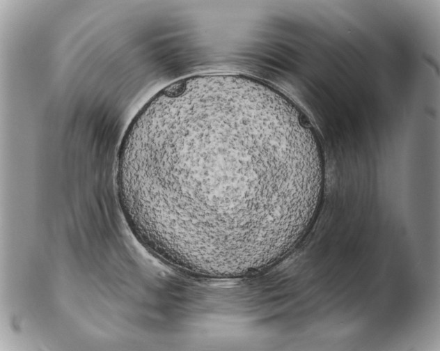 X0000102401484200808221836