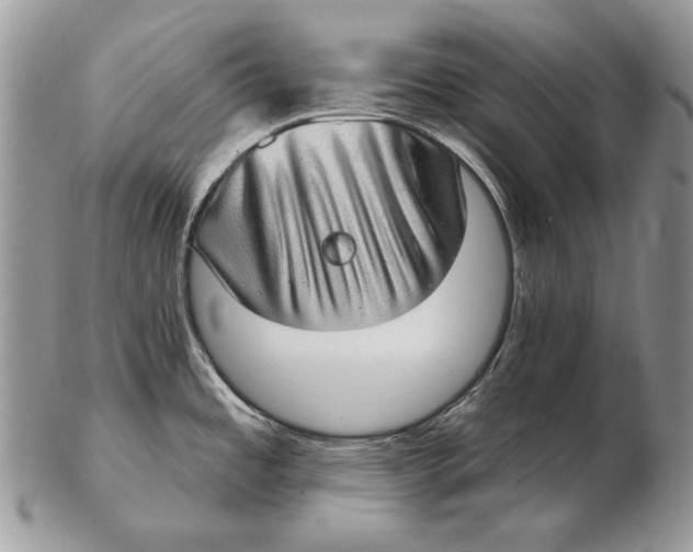 X0000102401485200808221836