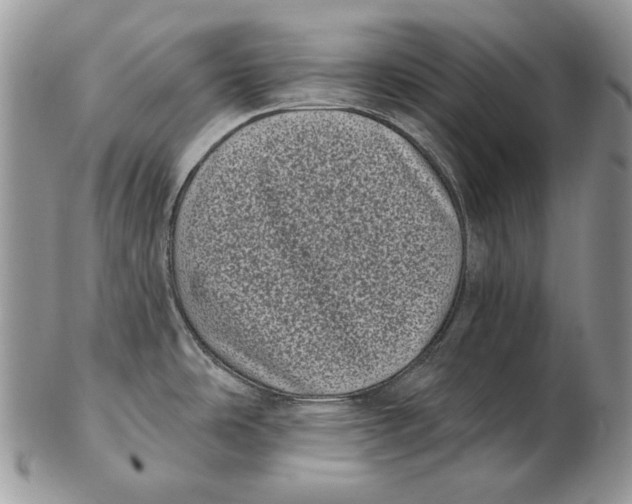 X0000102401486200808221836