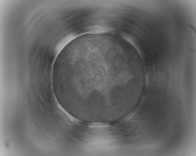 X0000102401487200808221836