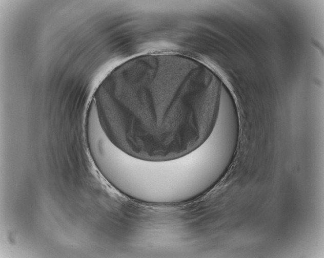 X0000102401488200808221836