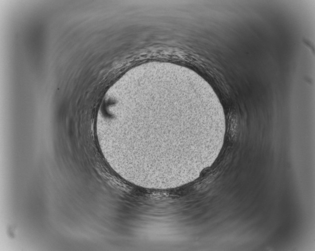 X0000102401489200808221836