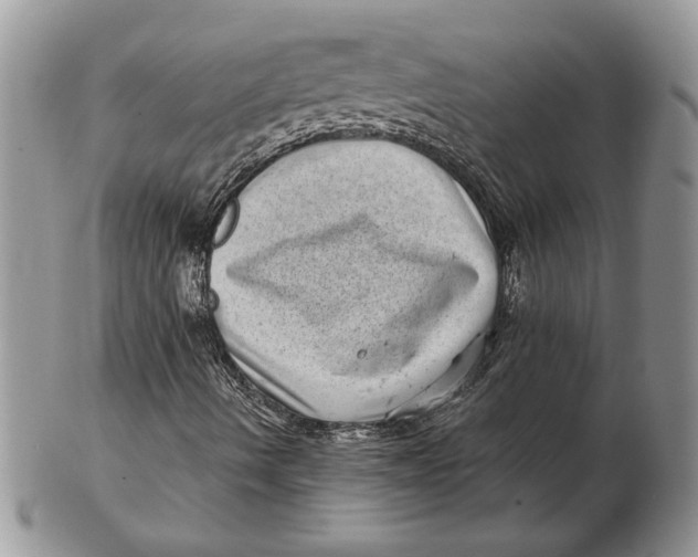 X0000102401490200808221836