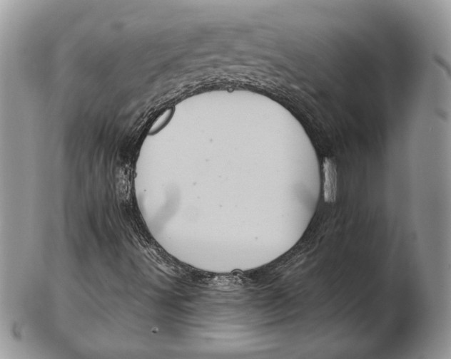 X0000102401491200808221836