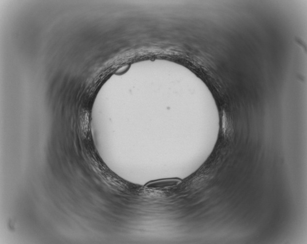 X0000102401492200808221836