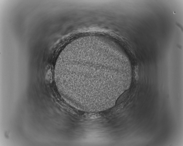 X0000102401493200808221836