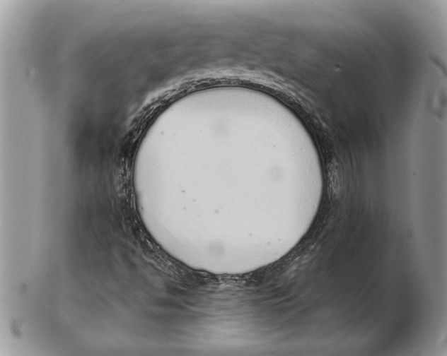 X0000102401494200808221836