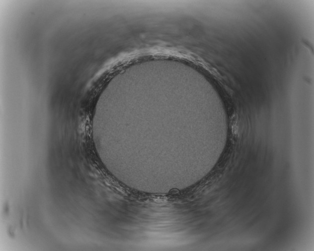 X0000102401495200808221836