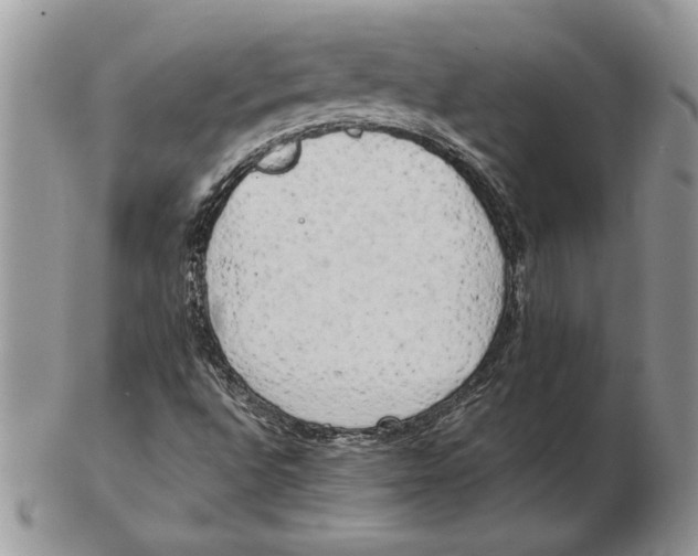 X0000102401496200808221836