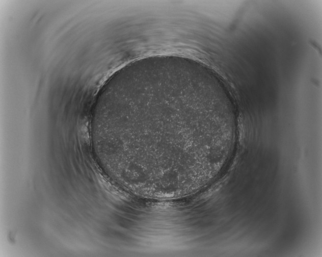 X0000102401497200808221836