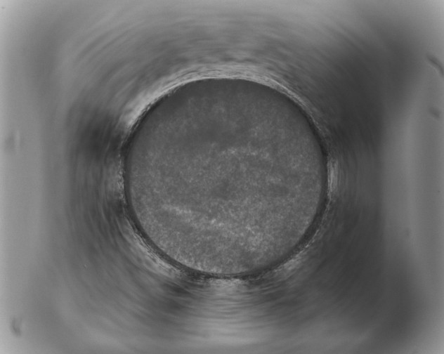 X0000102401498200808221836