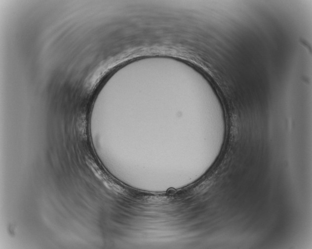 X0000102401499200808221836