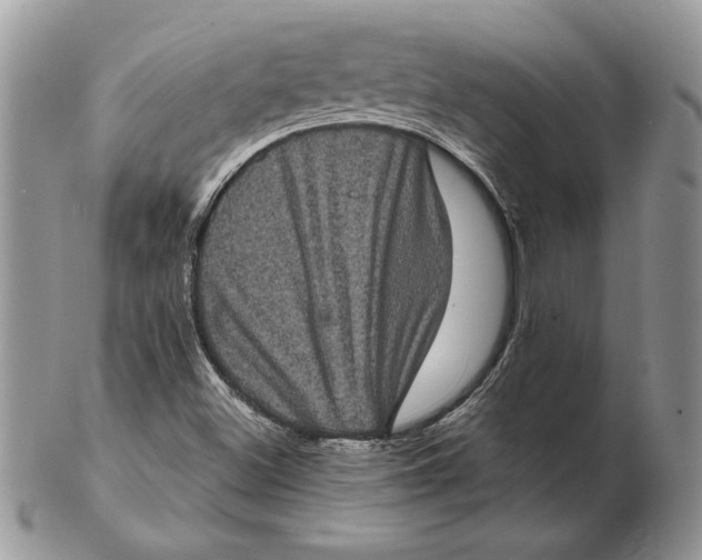 X0000102401500200808221836