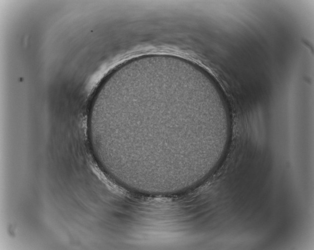 X0000102401503200808221836