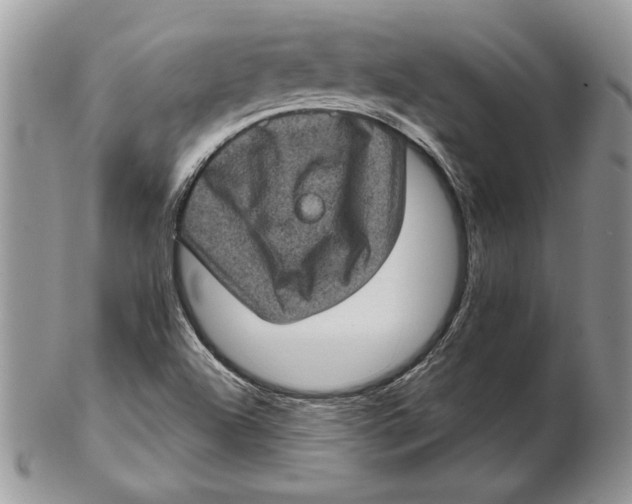 X0000102401504200808221836