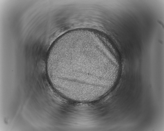 X0000102401505200808221836