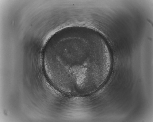 X0000102401506200808221836