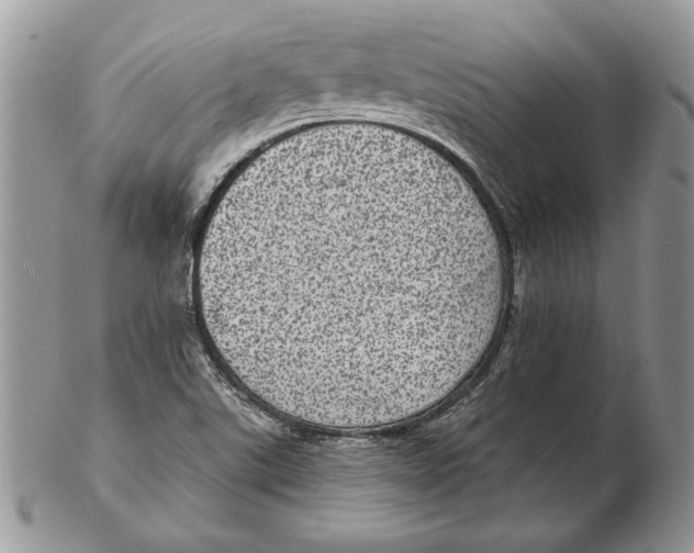 X0000102401507200808221836