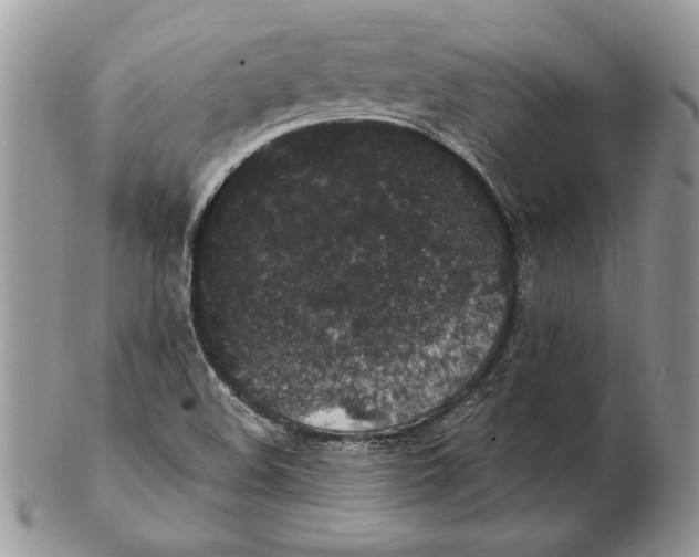 X0000102401508200808221836