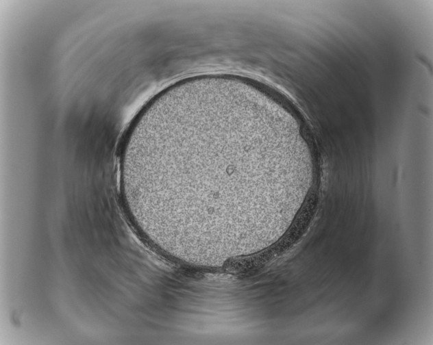 X0000102401509200808221836