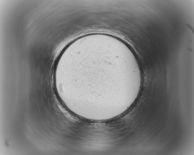 X0000102401511200808221836