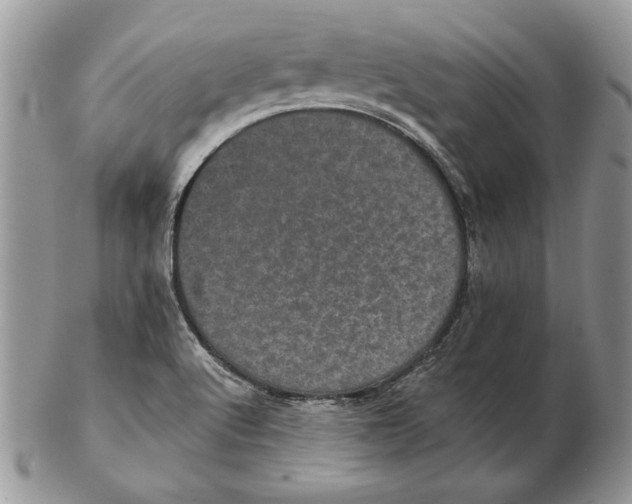 X0000102401512200808221836