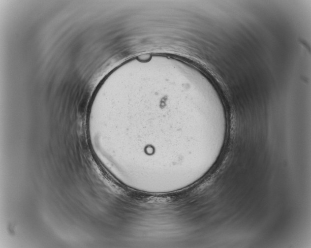 X0000102401513200808221836