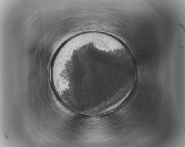 X0000102401515200808221836