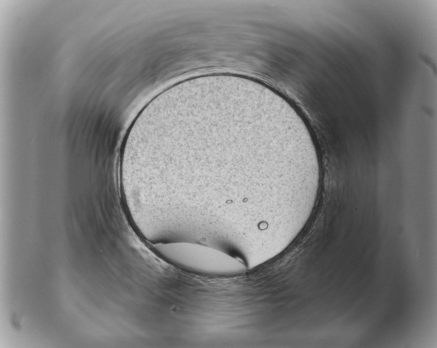 X0000102401516200808221836