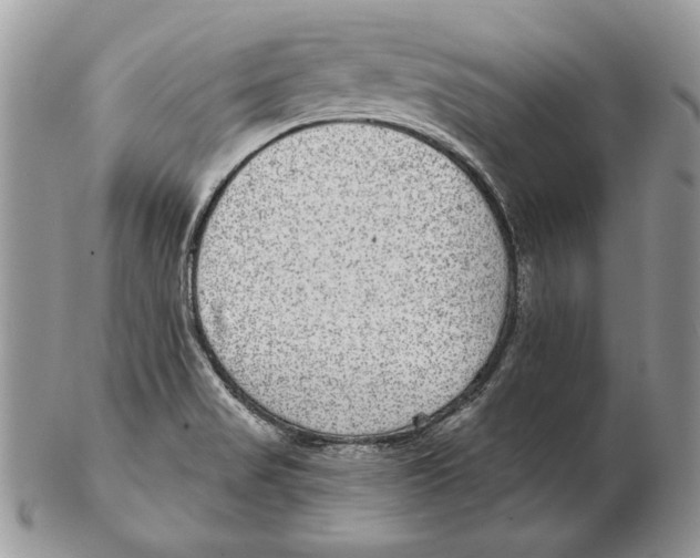 X0000102401517200808221836