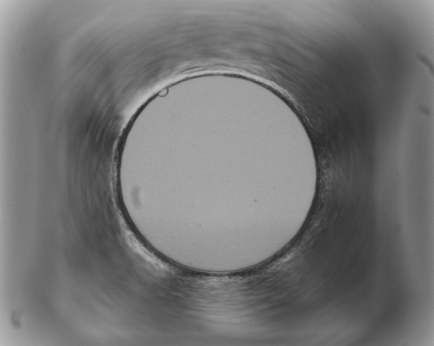 X0000102401518200808221836