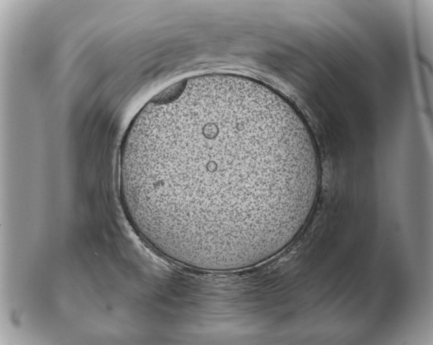 X0000102401520200808221836