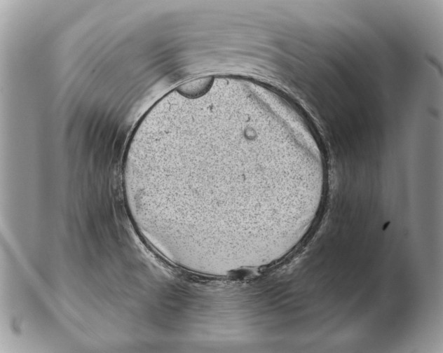 X0000102401521200808221836