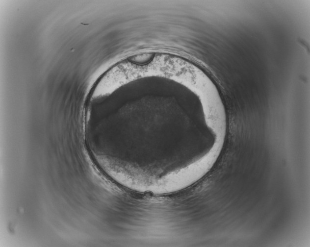 X0000102401522200808221836