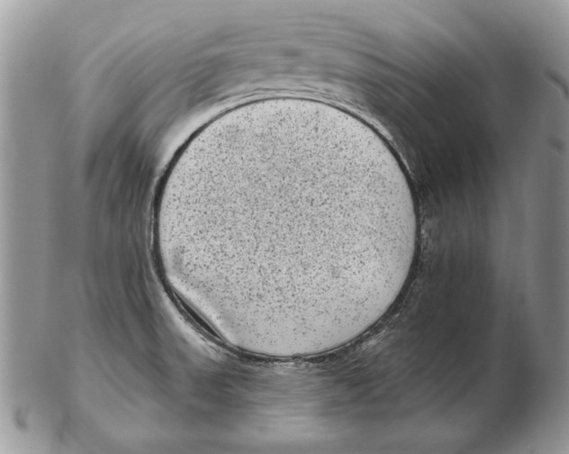 X0000102401523200808221836