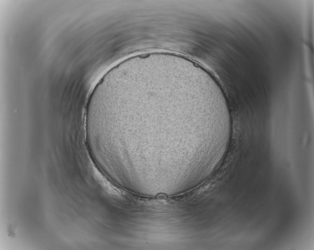 X0000102401524200808221836