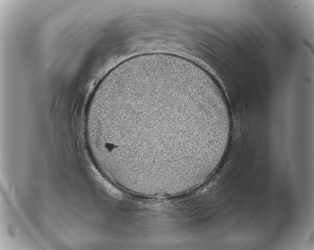 X0000102401525200808221836