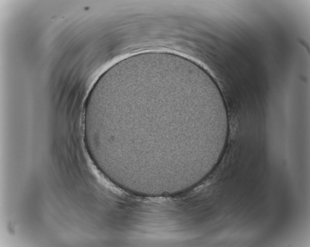 X0000102401526200808221836