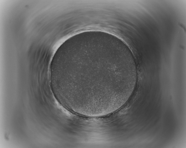 X0000102401527200808221836