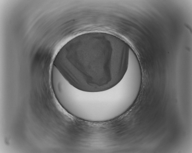 X0000102401528200808221836