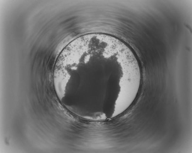 X0000102401529200808221836