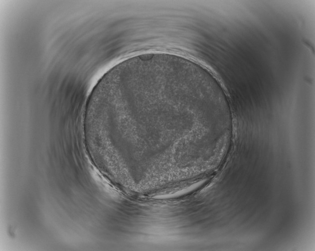 X0000102401530200808221836