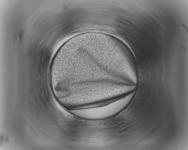 X0000102401531200808221836