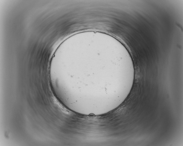 X0000102401532200808221836