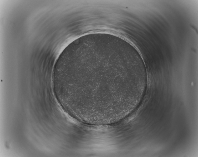 X0000102401533200808221836