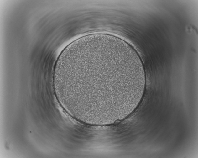 X0000102401534200808221836