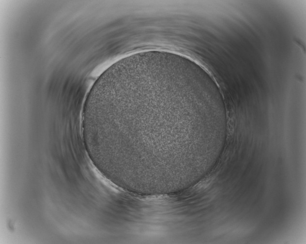 X0000102401535200808221836