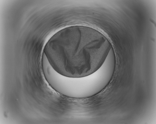 X0000102401536200808221836