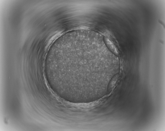 X0000102400001200808291455